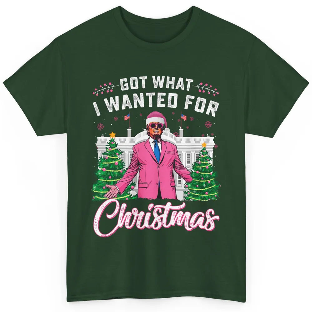 Funny Got What I Wanted For Christmas Trump Political Sarcastic Donald Trump Xmas Classic Unisex T-Shirt