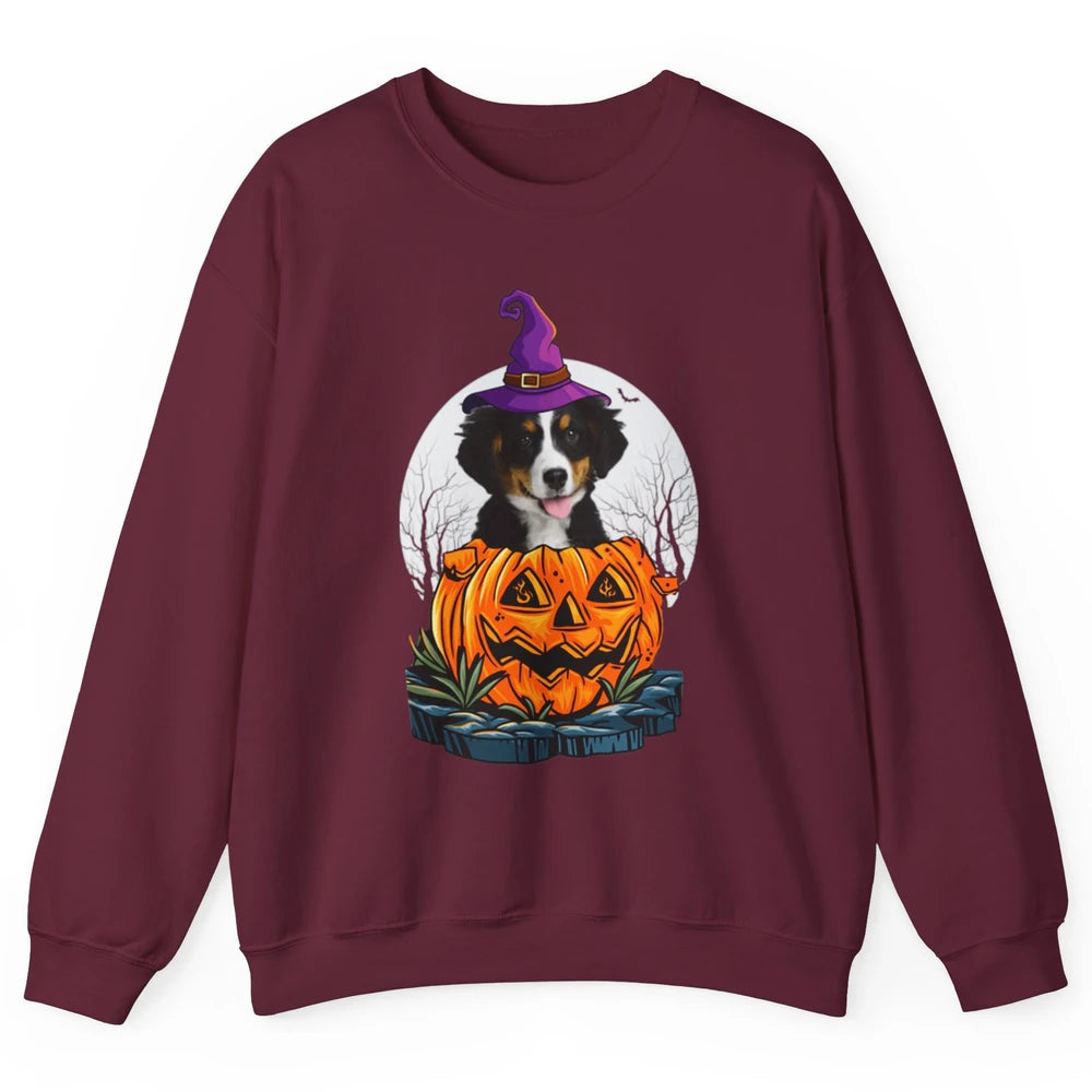 Bernese Mountain Dog Witch Pumpkin Halloween Spooky Season Unisex Crewneck Sweatshirt