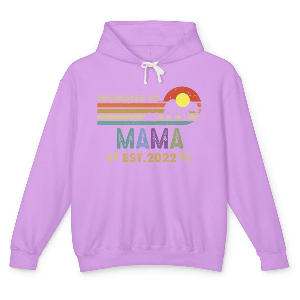Retro Mama Bear Promoted To Mama Est 2022 First Mothers Day Unisex Lightweight Hoodie