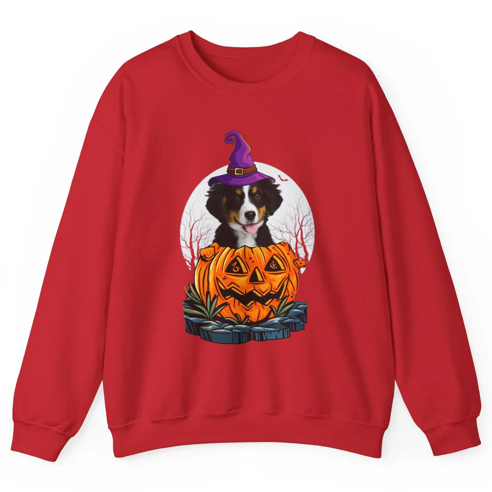 Bernese Mountain Dog Witch Pumpkin Halloween Spooky Season Unisex Crewneck Sweatshirt